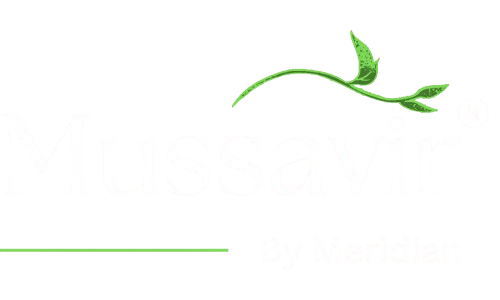 Mussavir